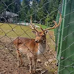 Eko-fis Ośrodek wypoczynkowy