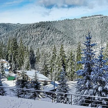Eko-fis Resort
