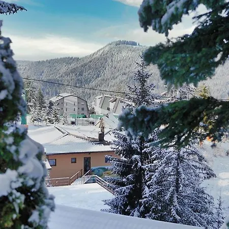 리조트 Eko-fis 3*