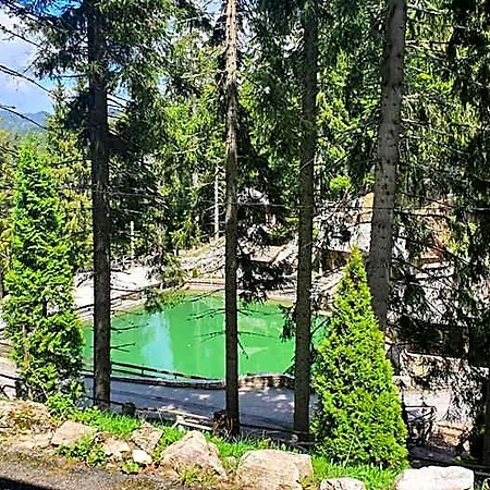 Eko-fis Resort Vlasic
