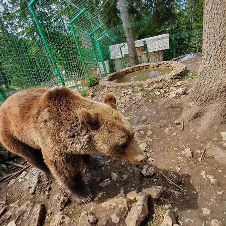 리조트 Eko-fis 블라시츠
